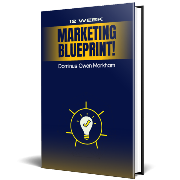 12 Weeks Niche Marketing Blueprint - Image 2