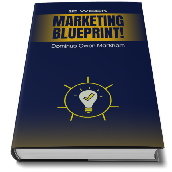 12 Weeks Niche Marketing Blueprint